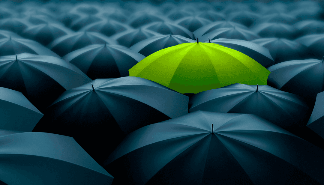 Hosting dashboard preview